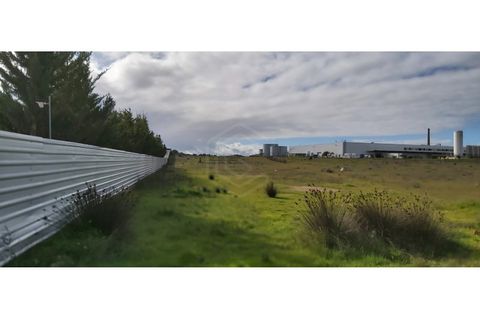 Erhvervsejendom i Algoz, Faro, Algoz - € 650.000 | Ref: 17/T/00294 - foto 16