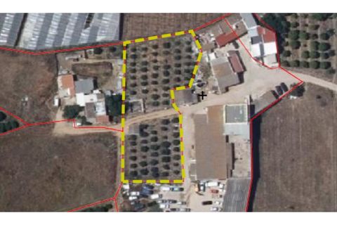 Terra a Conceicao e Estoi, Faro, Conceicao e Estoi - € 1.000/mes | Ref: TER_2796_ARR - foto 2