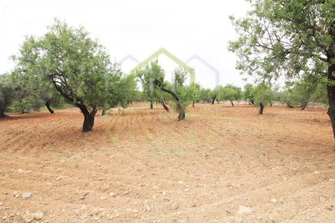 Helårsgrund i Estoi, Faro, Estoi - € 460.000 | Ref: TER_2275_VEND - foto 1