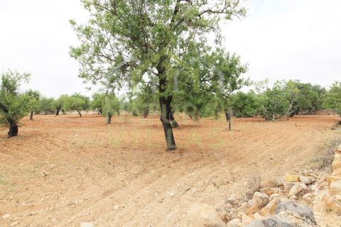 Helårsgrund i Estoi, Faro, Estoi - € 460.000 | Ref: TER_2275_VEND - foto 3