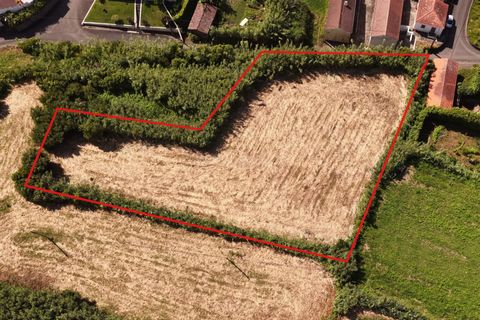 Helårsgrund i Horta, Faial, Horta - € 35.000 | Ref: 374260149 - foto 7
