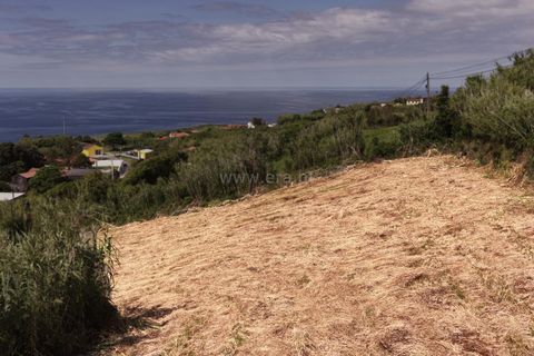 Helårsgrund i Horta, Faial, Horta - € 35.000 | Ref: 374260149 - foto 14