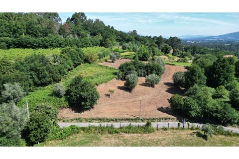 Terrain - Valenca, Viana do Castelo, Valenca - € 59 000 | Réf : B3310 - photo 1