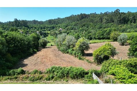 Terrain - Valenca, Viana do Castelo, Valenca - € 59 000 | Réf : B3310 - photo 4