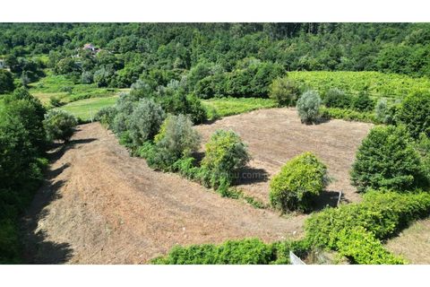 Terrain - Valenca, Viana do Castelo, Valenca - € 59 000 | Réf : B3310 - photo 5