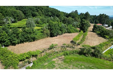 Terrain - Valenca, Viana do Castelo, Valenca - € 59 000 | Réf : B3310 - photo 6