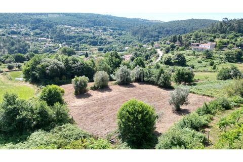 Terrain - Valenca, Viana do Castelo, Valenca - € 59 000 | Réf : B3310 - photo 7
