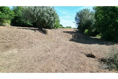 Terrain - Valenca, Viana do Castelo, Valenca - € 59 000 | Réf : B3310 - photo 8