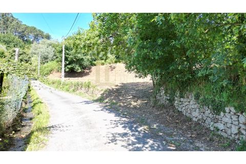 Terrain - Valenca, Viana do Castelo, Valenca - € 59 000 | Réf : B3310 - photo 9