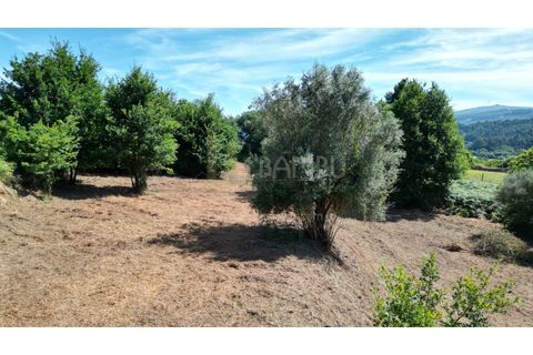 Terrain - Valenca, Viana do Castelo, Valenca - € 59 000 | Réf : B3310 - photo 11