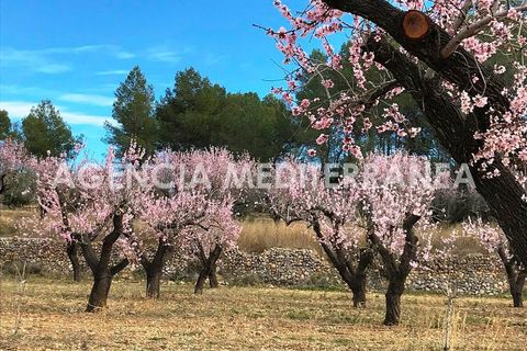 Villa a Alcalali, Alicante, Alcalali - € 450.000 | Ref: 5644/5940 - foto 19