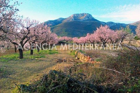 Villa a Alcalali, Alicante, Alcalali - € 450.000 | Ref: 5644/5940 - foto 20