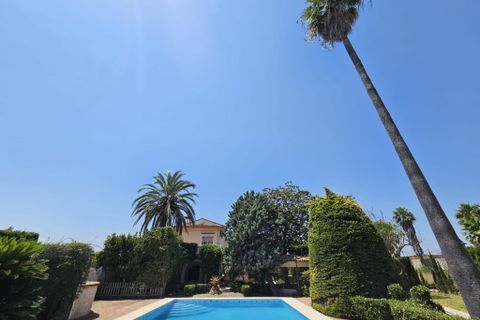 Villa i Oliva, Valencia - foto 5