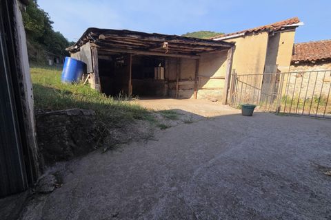 Villa in Aller, Asturias, Aller - € 120.000 | Ref: QPE00424/10606 - foto 19