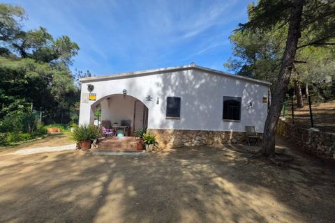 Terra a Almoster, Tarragona, Almoster - € 126.000 | Ref: EXP15126/8930 - foto 37