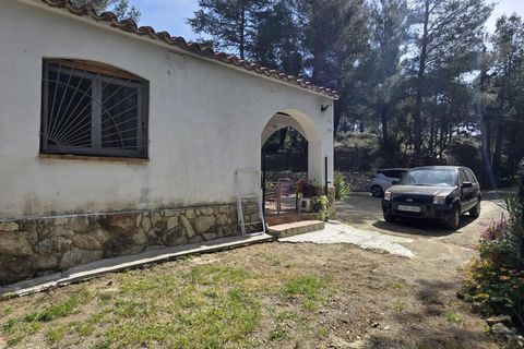 Terra a Almoster, Tarragona, Almoster - € 126.000 | Ref: EXP15126/8930 - foto 44