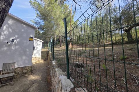 Terra a Almoster, Tarragona, Almoster - € 126.000 | Ref: EXP15126/8930 - foto 46