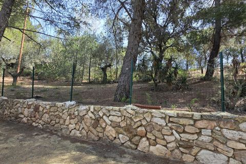 Terra a Almoster, Tarragona, Almoster - € 126.000 | Ref: EXP15126/8930 - foto 48