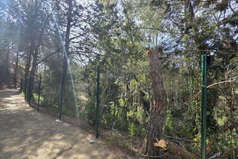 Terra a Almoster, Tarragona, Almoster - € 126.000 | Ref: EXP15126/8930 - foto 49