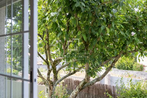 Villa i Vigo, Pontevedra, Vigo - € 950.000 | Ref: VIG70842 - foto 9
