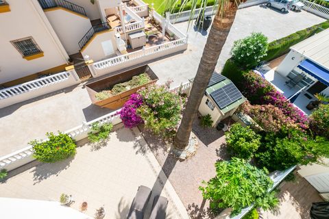 Bungalow i Playa Flamenca, Alicante, Playa Flamenca - € 249.000 | Ref: 14028 - foto 47
