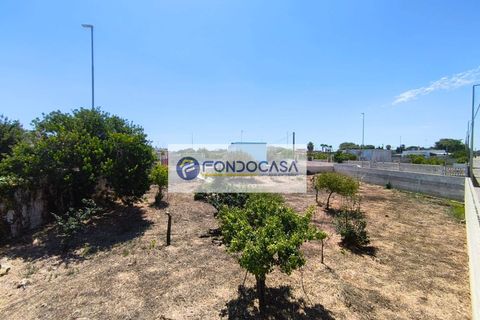 Villa i Lecce, Lecce, Lecce - € 130.000 | Ref: 172 - foto 22