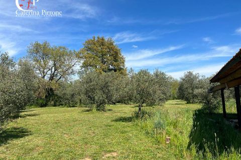 Villa i Gavorrano, Grosseto, Gavorrano - € 570.000 | Ref: VILL36 - foto 4