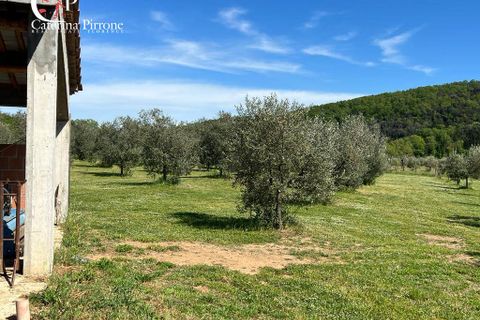 Villa i Gavorrano, Grosseto, Gavorrano - € 570.000 | Ref: VILL36 - foto 8