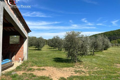 Villa i Gavorrano, Grosseto, Gavorrano - € 570.000 | Ref: VILL36 - foto 9