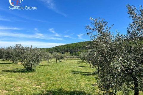Villa i Gavorrano, Grosseto, Gavorrano - € 570.000 | Ref: VILL36 - foto 10