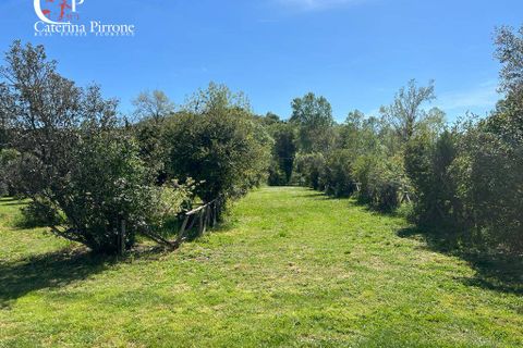 Villa i Gavorrano, Grosseto, Gavorrano - € 570.000 | Ref: VILL36 - foto 14