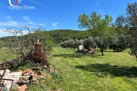 Villa i Gavorrano, Grosseto, Gavorrano - € 570.000 | Ref: VILL36 - foto 15
