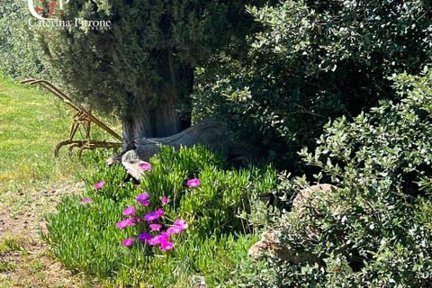 Villa i Gavorrano, Grosseto, Gavorrano - € 570.000 | Ref: VILL36 - foto 16