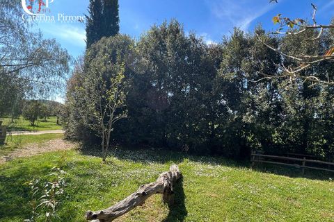 Villa i Gavorrano, Grosseto, Gavorrano - € 570.000 | Ref: VILL36 - foto 17