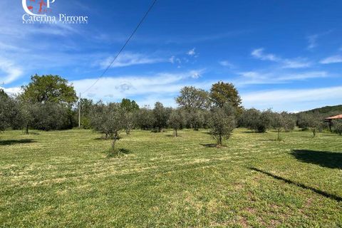 Villa i Gavorrano, Grosseto, Gavorrano - € 570.000 | Ref: VILL36 - foto 20
