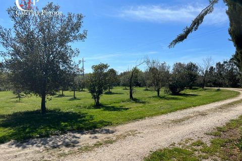 Villa i Gavorrano, Grosseto, Gavorrano - € 570.000 | Ref: VILL36 - foto 25