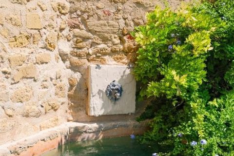 Erhvervsejendom i Lauris, Vaucluse, Lauris - € 1.090.000 | Ref: fr042428 - foto 14