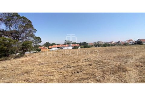 Helårsgrund i Amora, Setubal, Amora - € 3.000.000 | Ref: BR217 - foto 5