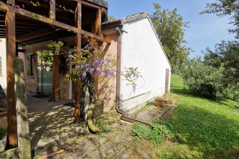 Villa in Gavello, Rovigo, Gavello - € 65.000 | Ref: MCGS2404 - foto 10
