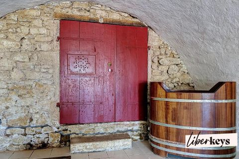 Villa em Saint-Max, Meurthe-et-Moselle, Saint-Max - € 730.000 | Ref: DOM34078 - foto 6