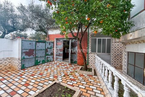 Villa i Tramagal, Santarem, Tramagal - € 170.000 | Ref: 01854-26 - foto 6
