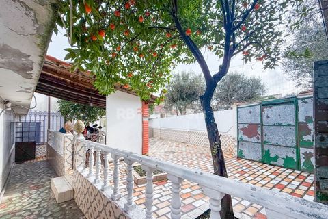 Villa i Tramagal, Santarem, Tramagal - € 170.000 | Ref: 01854-26 - foto 8