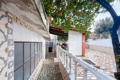 Villa i Tramagal, Santarem, Tramagal - € 170.000 | Ref: 01854-26 - foto 17