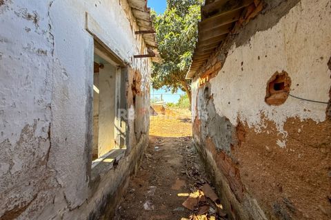 Reihenhaus in Riachos, Santarem, Riachos - € 95.000 | Ref: 02069-26 - Foto 5
