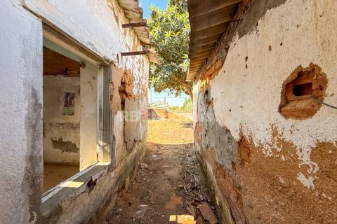 Reihenhaus in Riachos, Santarem, Riachos - € 95.000 | Ref: 02069-26 - Foto 20