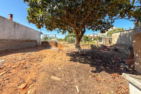 Reihenhaus in Riachos, Santarem, Riachos - € 95.000 | Ref: 02069-26 - Foto 21