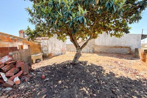 Reihenhaus in Riachos, Santarem, Riachos - € 95.000 | Ref: 02069-26 - Foto 24