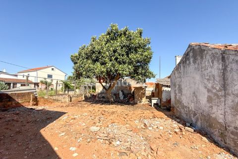 Reihenhaus in Riachos, Santarem, Riachos - € 95.000 | Ref: 02069-26 - Foto 27