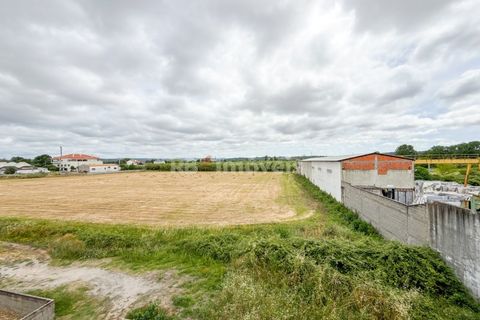 Apartamento em Abrantes, Santarem, Abrantes - € 160.000 | Ref: 02082-26 - foto 24