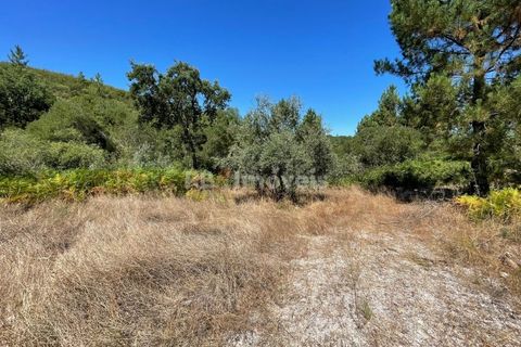 Helårsgrund i Gaviao, Portalegre, Gaviao - € 20.000 | Ref: 01360-24 - foto 2
